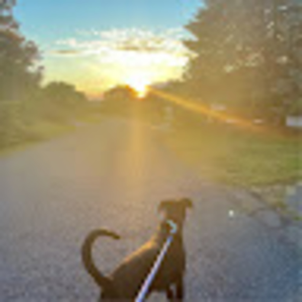 Meet your Posher, Kerrigan